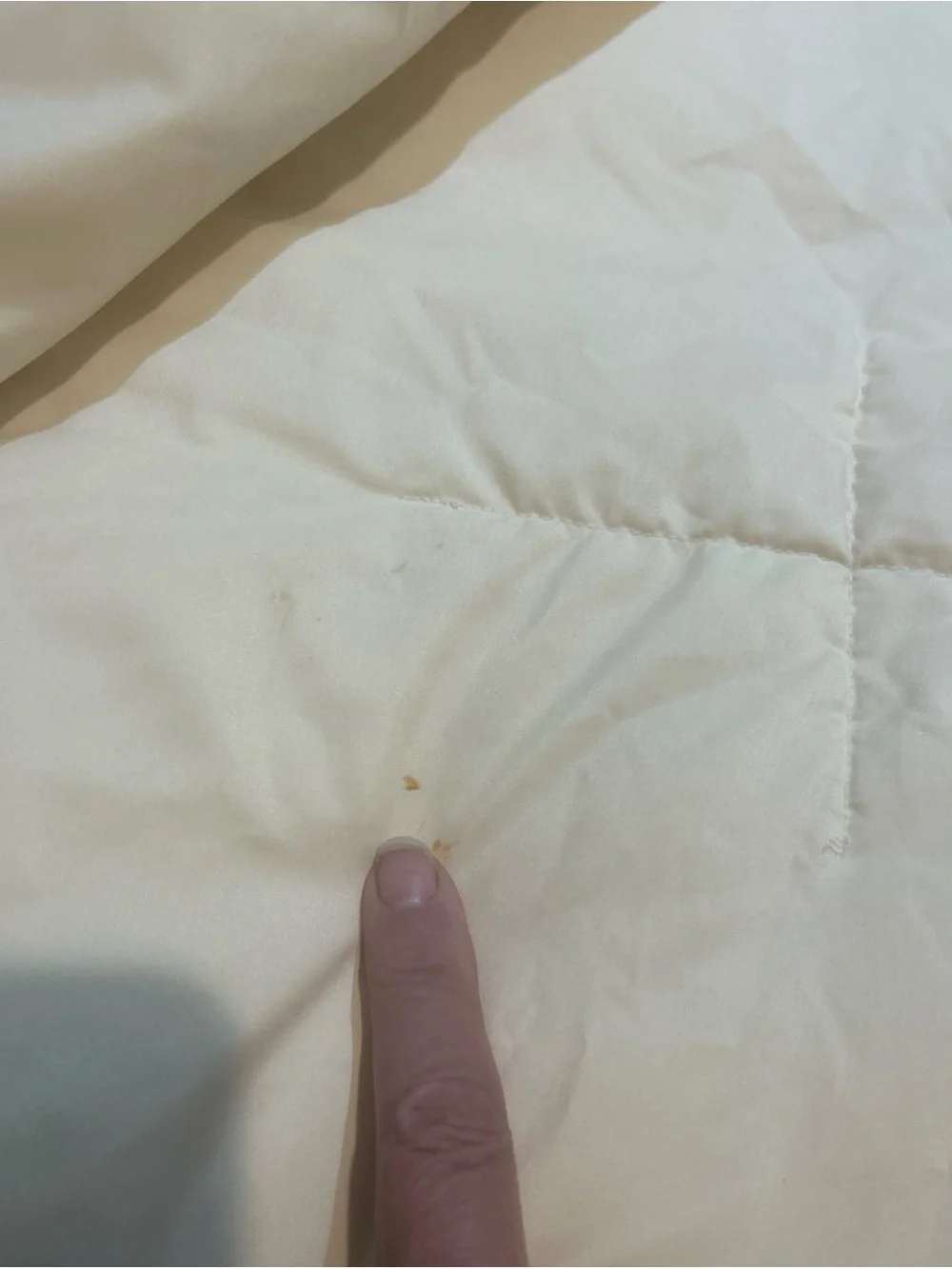 Queen/ Full Size 84 X 68  Cotton Goose Down Filled Comforter Box Stitch Ligh
